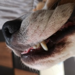 Алексей Колчин, 17.03, Санкт-Петербург