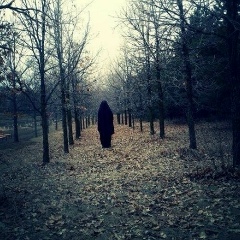 Diash Kaaa, 26.04.1988, Москва