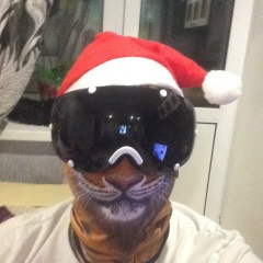 Витек Зеленов, 14.01