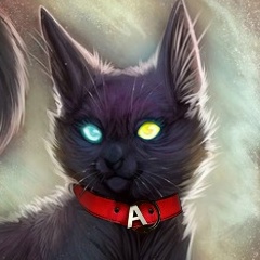 Юрий Мутабор, 14.02, Тюмень