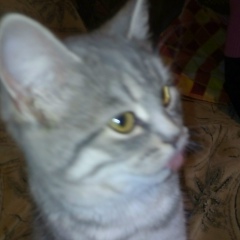 Лана Иванова, 19.02