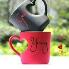 Rohan King, 08.04, Patna