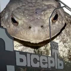 Волера Панёв, 12.07.1993, Екатеринбург