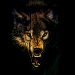 Сергей Гончарук, 24.05.1998, Новокузнецк