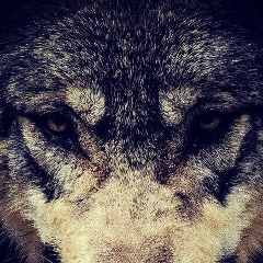 Ислам Дибаев, 14.05, Тюмень