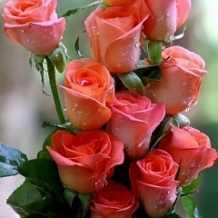 Наталья Давыдова, 18.08, Санкт-Петербург