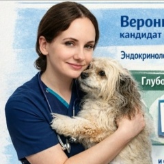 Вероника Гусева, 07.01, Санкт-Петербург