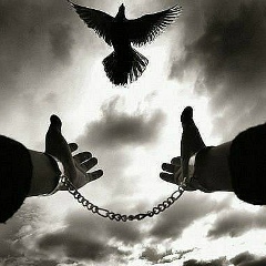 Адалет Теймуров, 04.01.1989, Новосибирск