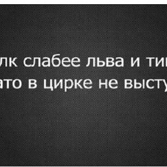 Муса Цуро, Москва