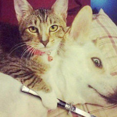 Олег Ткач, 19.03