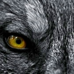 Валентин Садовников, 07.03.1968, Якутск