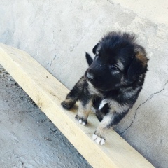 Нурлан Текенов, 03.06.1988, Шымкент