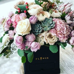 Айжан Маканова, Семей