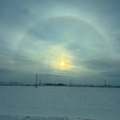 Елена Гусева, 26.04.1968, Москва
