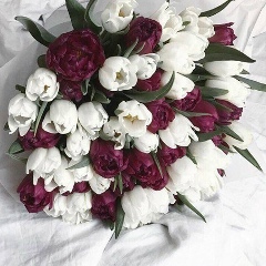 Екатерина Иванова, 02.02