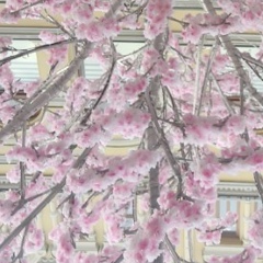 Пашка Машков, 26.02, Москва