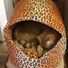 Людмила Ясинская, 18.07, Киев