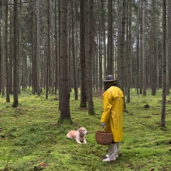Рустам Ведренко, Калининград