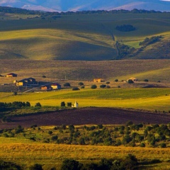 Ислам Шанхоев, 18.01, Москва