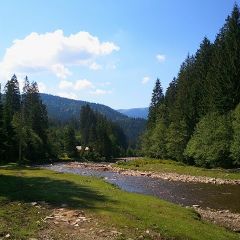 Женя Манзик, 07.01.1995, Москва