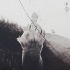 Денис Черномазов, 21.08, Североморск