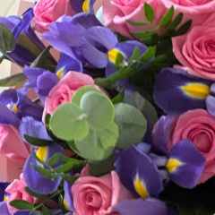 Таня Дмитрук, 05.12, Москва