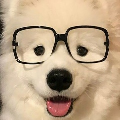 Максим Грибин, 27.07.1979, Рязань