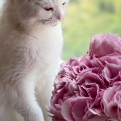 Эльмирка Мирзоева, 09.12.1994, Нальчик