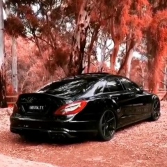 Ing Girl, 04.12.1986