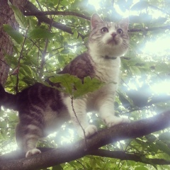 Марсель Зайков, 15.09, Санкт-Петербург