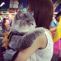 Dana Sairanbekova, 14.02.1991, Алматы