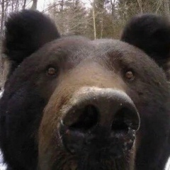 Александр Кононов, 18.10.1975, Кировск