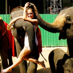 Анастасия Алясова, 18.05.1990, Тула (поселок)