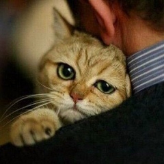 Оксана Митрохина