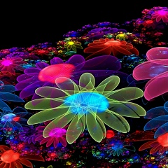 Софья Сонина, 17.06, Новочеркасск