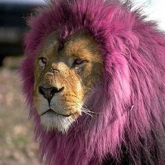 Светлана Самсонова, 06.03.1994, Пятигорск