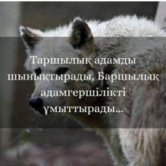 Зико Шахан, 07.06.1982, Сарыагаш