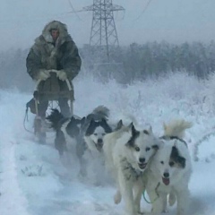 Михаил Черных, 13.03.1987, Москва