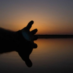 Владимир Харченко, 19.11