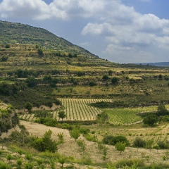 Mukagali Omar, Абай