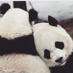 Гульден Жанжигитова, 26.06.1998, Актобе