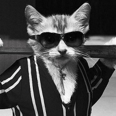 Славка Лобанов, 26.11, Москва