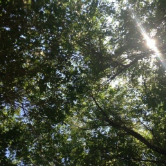 Бота Мансур, 10.01, Уральск