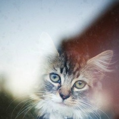 Чингис Оралбаев, 16.08.1991, Астана