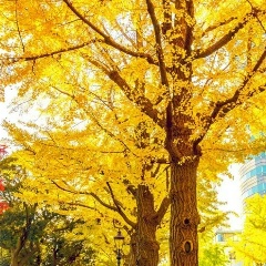 Valentina Schmid, 03.03.1997, Berlin