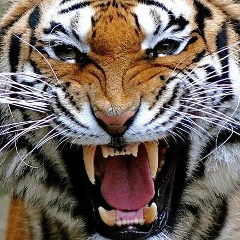 Александр Безбородько, 23.06, Запорожье