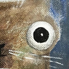 Роман Абдуллин, 26.05, Нижневартовск