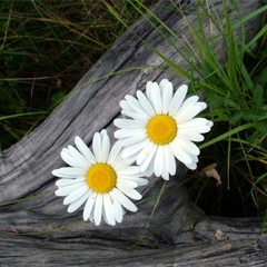 Гульмира Сулейменова, 03.02.1976, Сатпаев