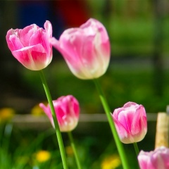 Анастасия Русских, 22.07.1988, Санкт-Петербург