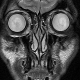 Григорий Баяхчан, Хабаровск